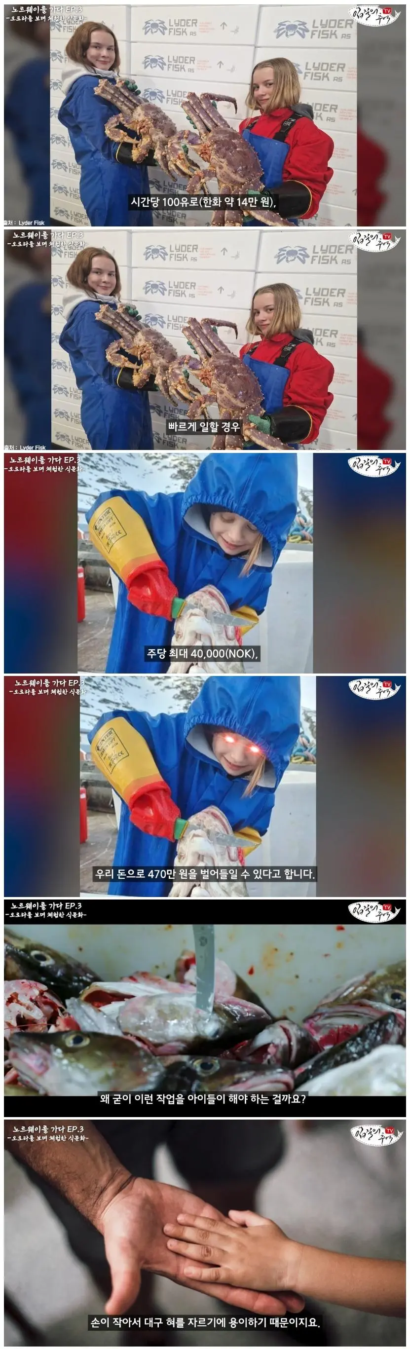 의외로 아동노동이 보편화 된 노르웨이