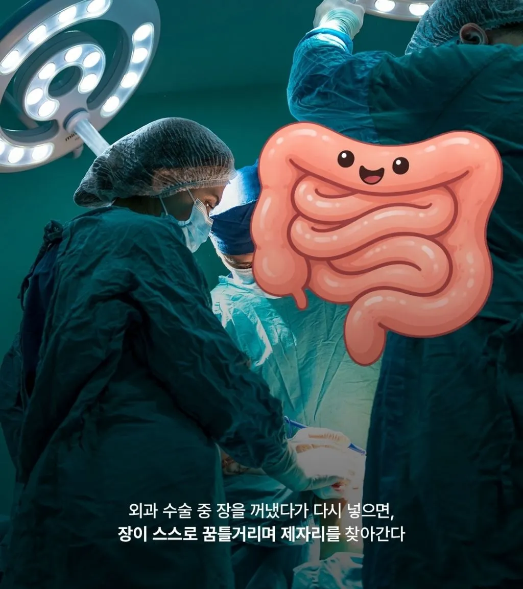 가짜 같지만 진짜인 의학 지식들.jpg