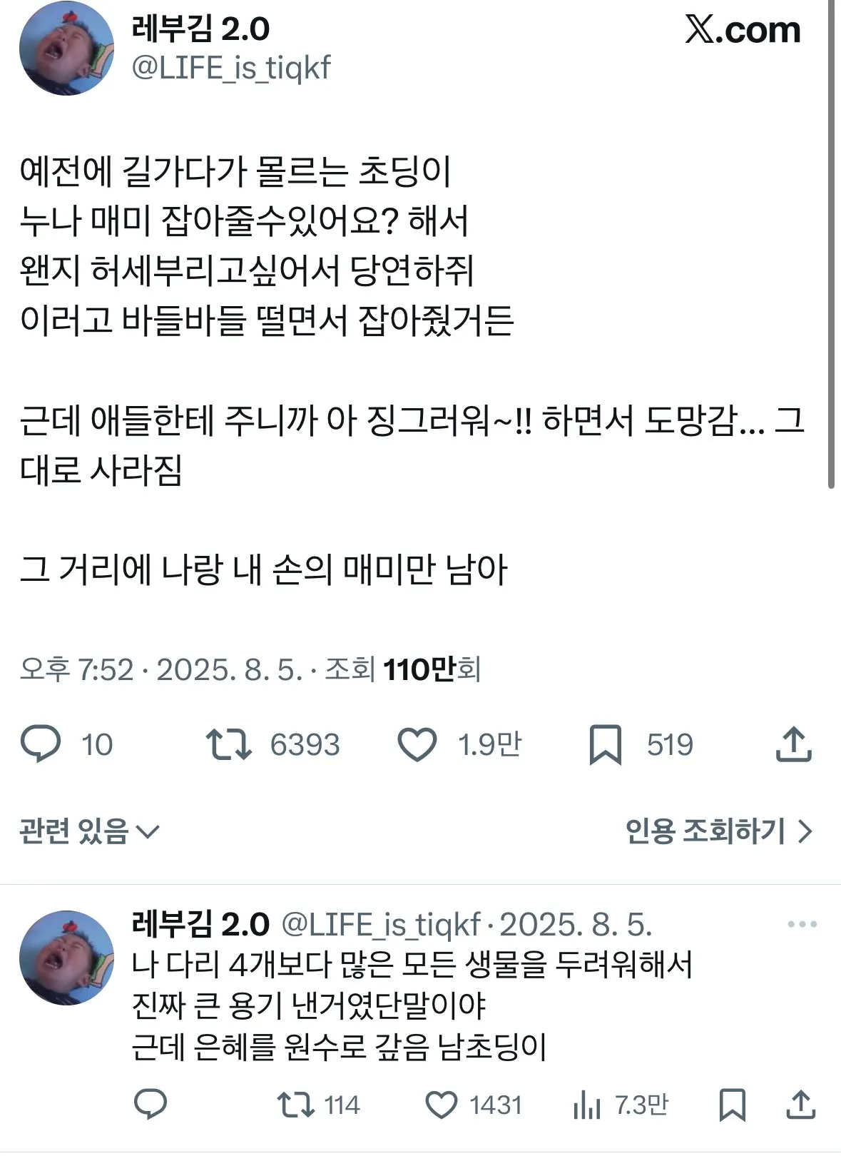 길 가는데 초딩이 매미를 잡아달라고 했다 jpg.