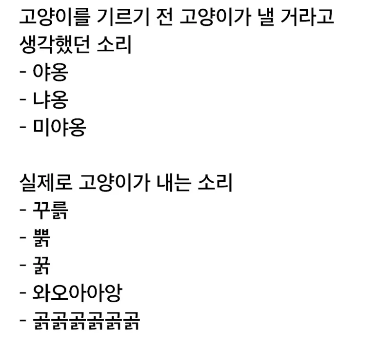 고양이 키우는 사람들 공감