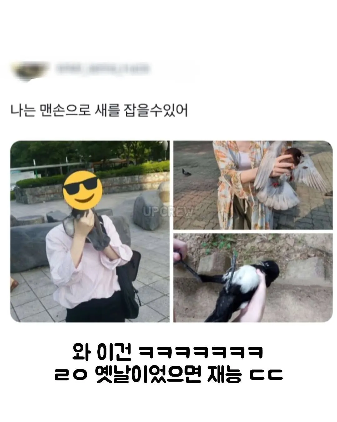 동생이 두부장인.jpg