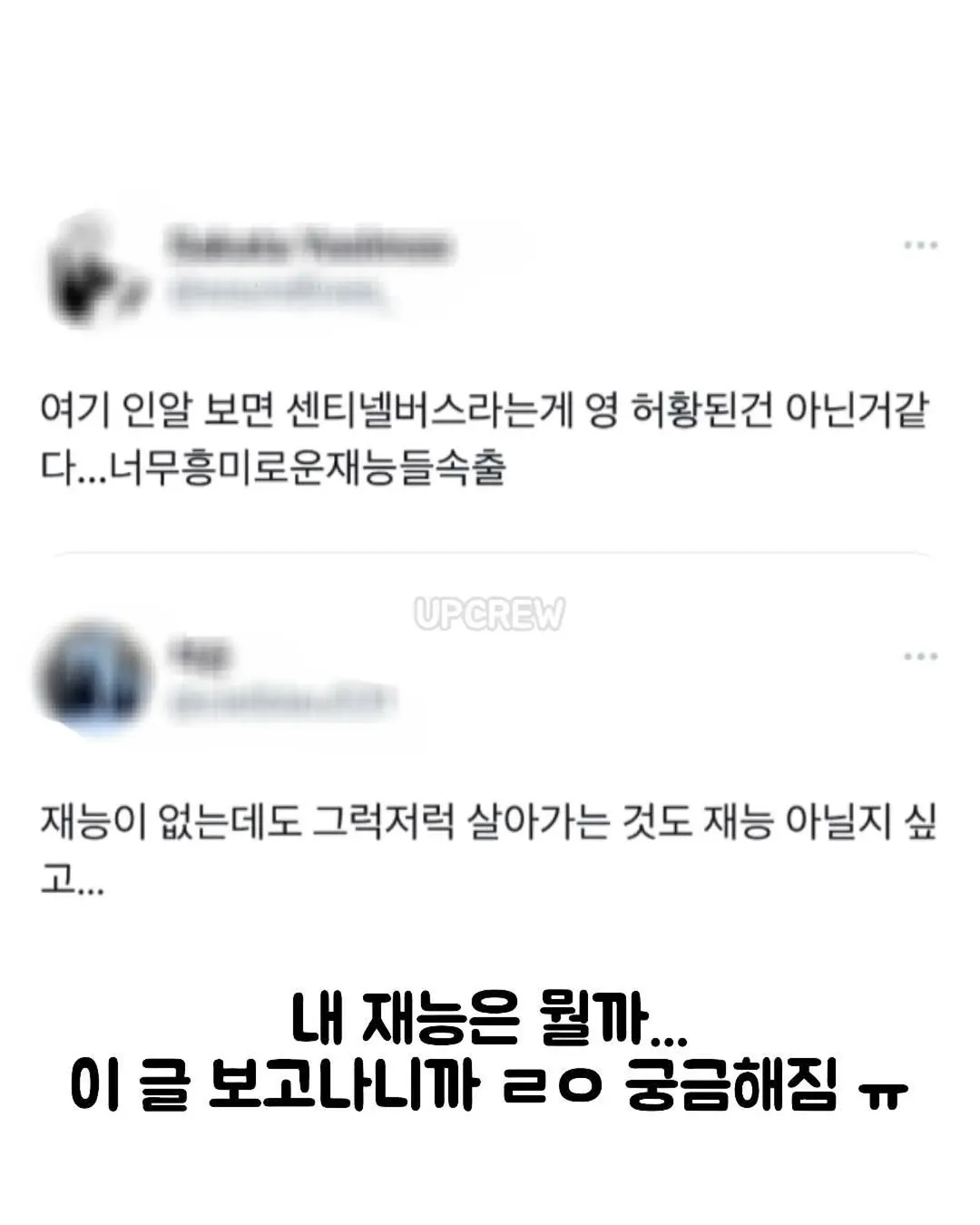 동생이 두부장인.jpg