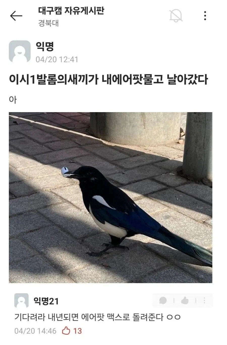 경북대 에어팟 도난 사건