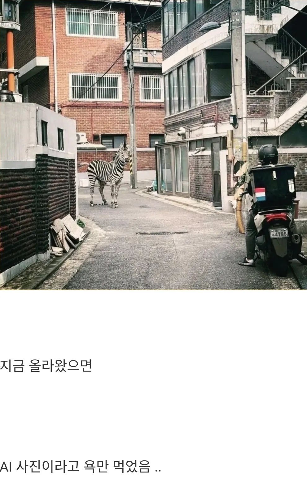 AI 시대 이전에 찍혀서 다행인 사진