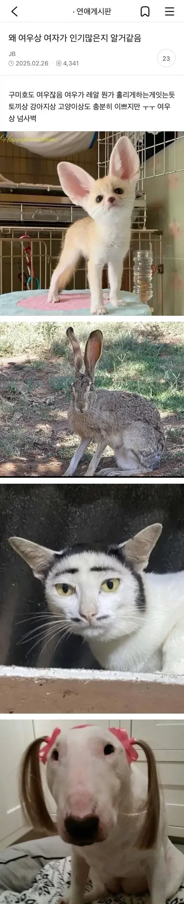여우상 여자가 인기 많은 이유
