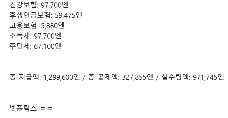 넷플릭스 일본지사 급여명세서