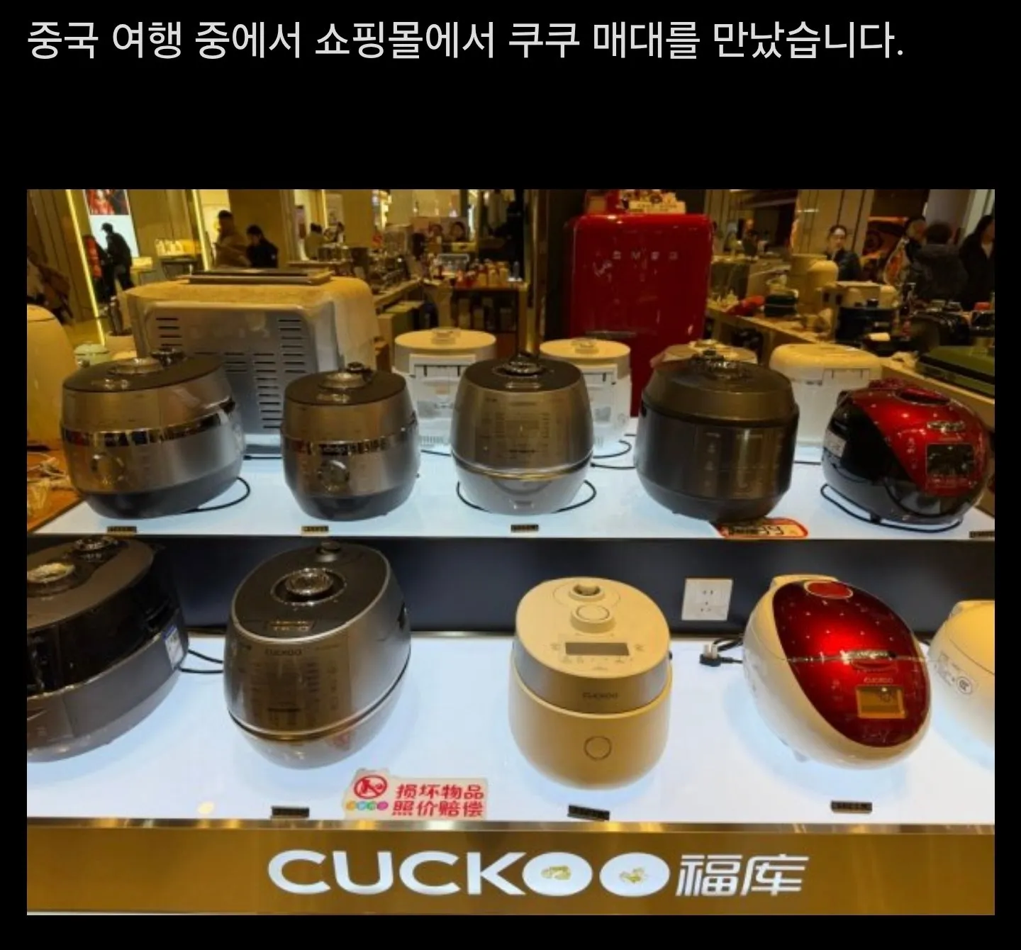 중국에서 한국 밥솥 가격