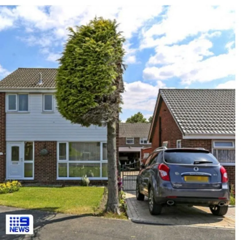 나무 넘어오자 잘라버린 이웃