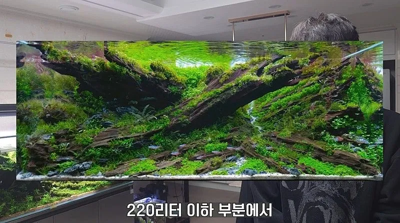 국제 수초 어항 대회 1등한 한국 고등학생