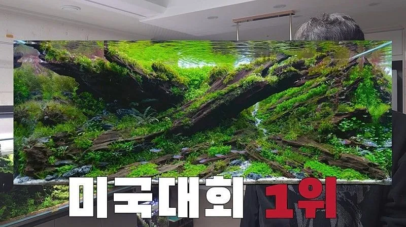 국제 수초 어항 대회 1등한 한국 고등학생