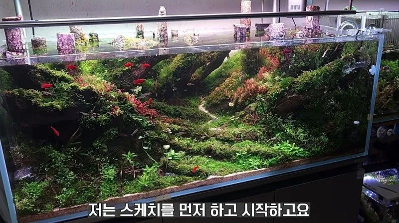 국제 수초 어항 대회 1등한 한국 고등학생