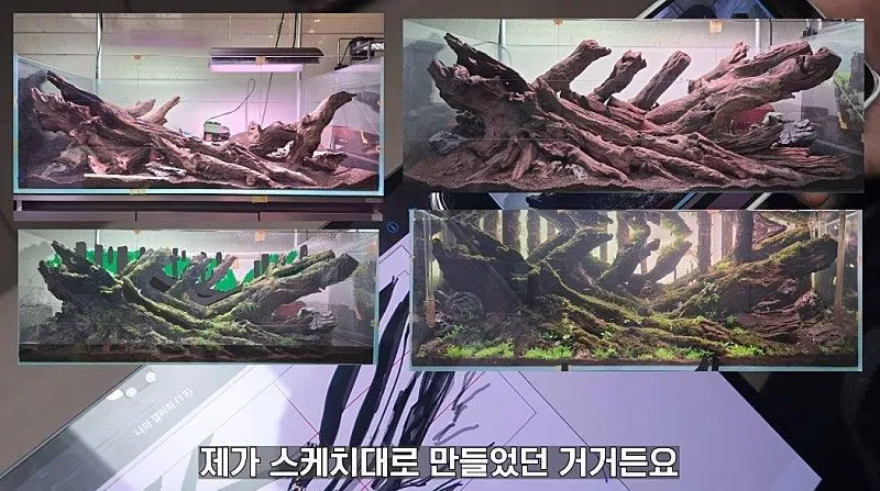 국제 수초 어항 대회 1등한 한국 고등학생