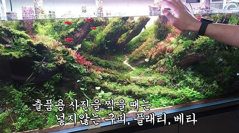 국제 수초 어항 대회 1등한 한국 고등학생