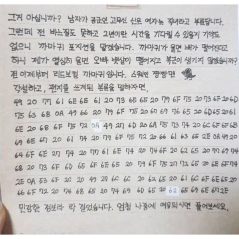 이과생 여친이 쓴 역대급 위문편지