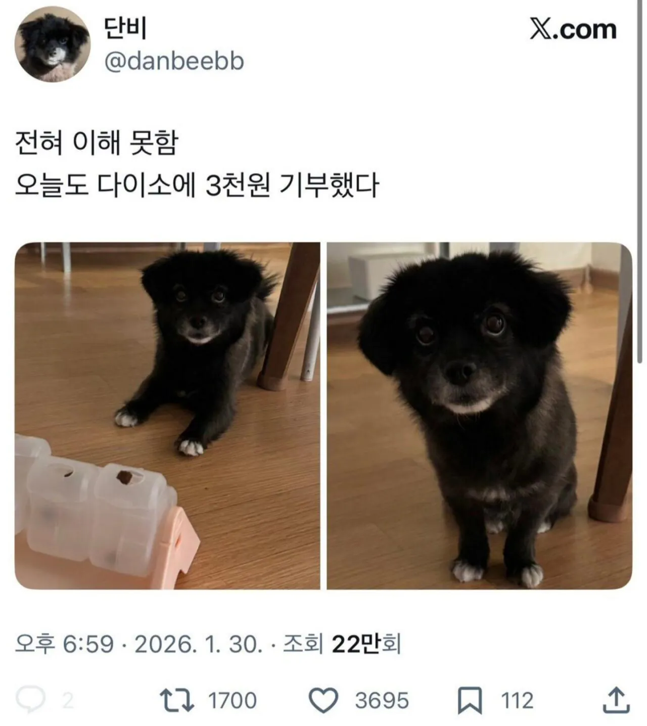오늘도 다이소에 3천원 기부했다