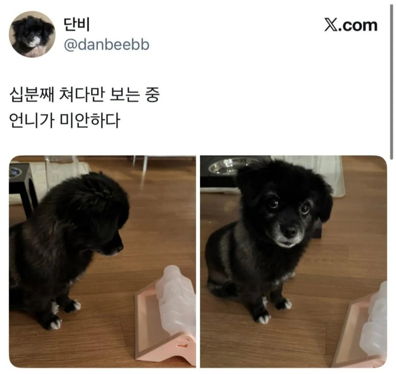 오늘도 다이소에 3천원 기부했다