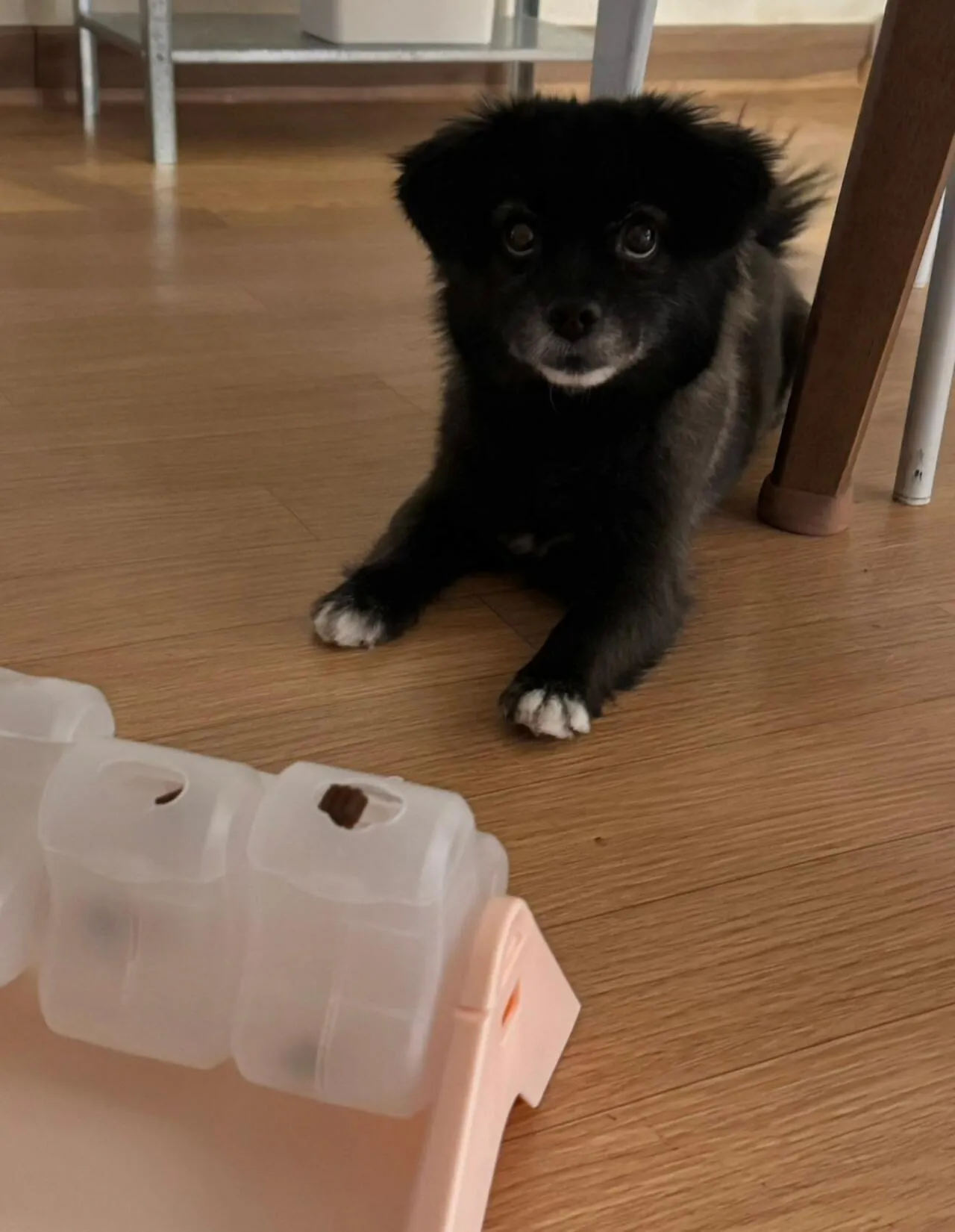 오늘도 다이소에 3천원 기부했다