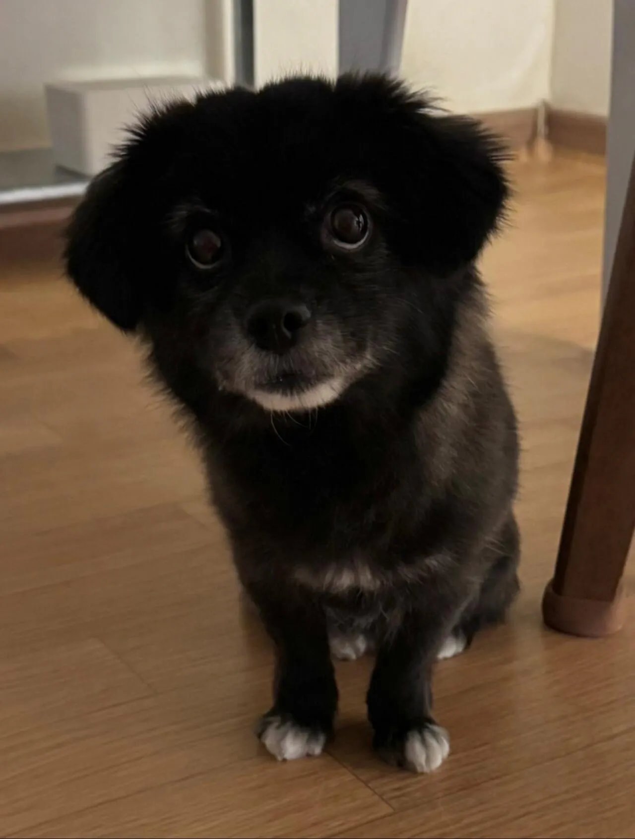 오늘도 다이소에 3천원 기부했다