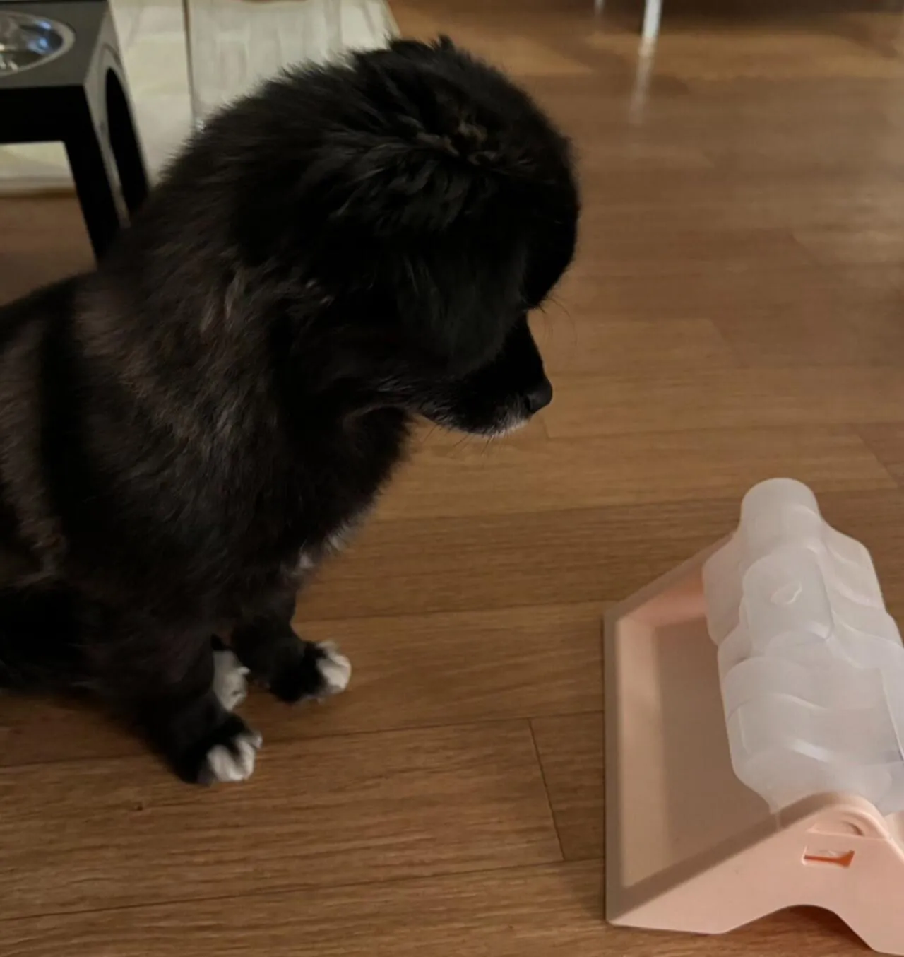 오늘도 다이소에 3천원 기부했다