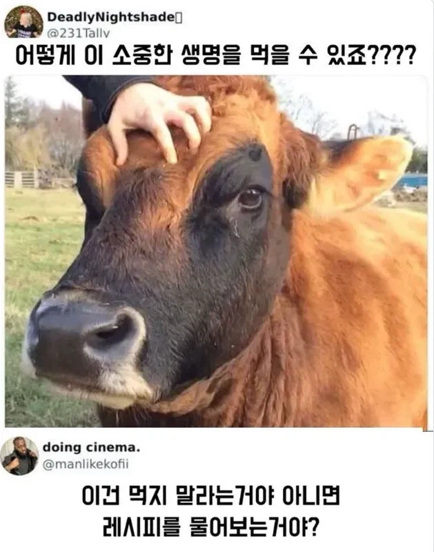 어떻게 귀여운 생명을 먹을수 있죠?