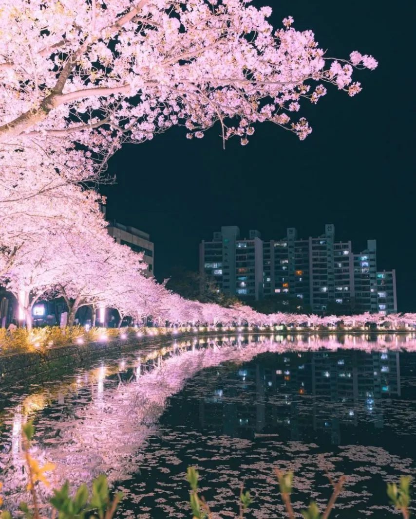 레딧에서 핫한 한국사진 한장..