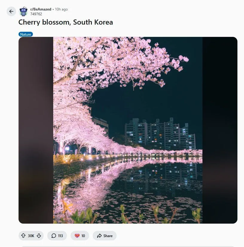 레딧에서 핫한 한국사진 한장..