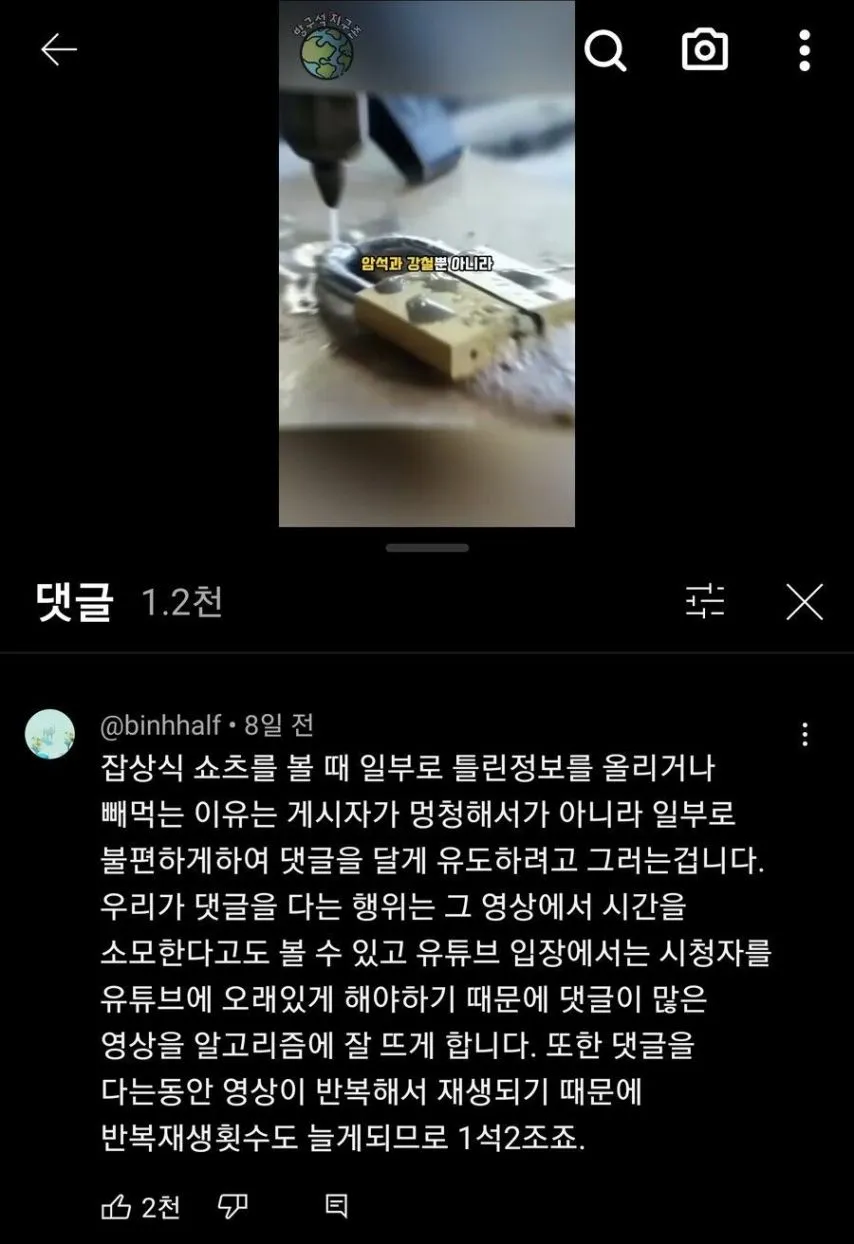 의도적으로 틀리는 이유
