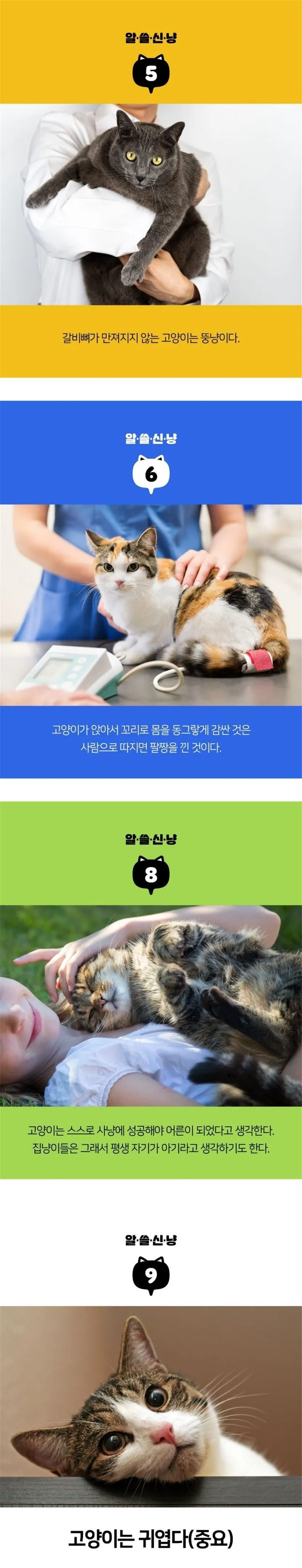 알아도 쓸모없는 고양이 TMI