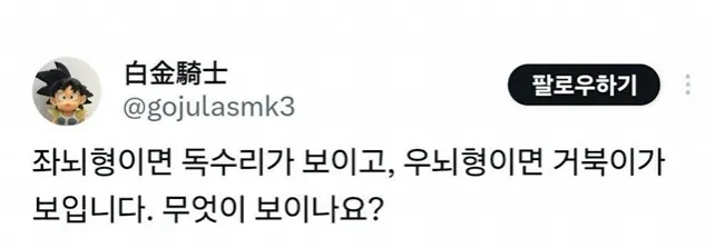 좌뇌형 = 독수리, 우뇌형 = 거북이